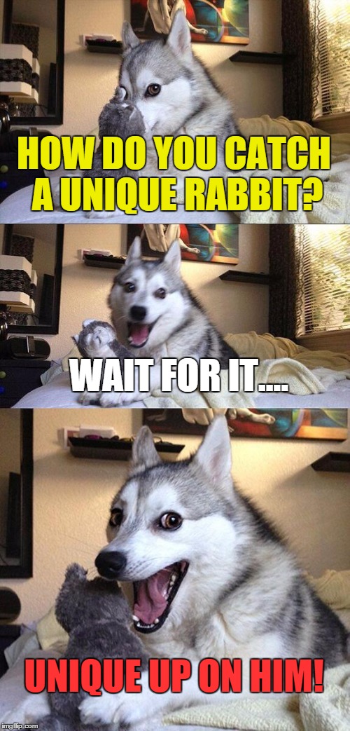How do you.... | HOW DO YOU CATCH A UNIQUE RABBIT? WAIT FOR IT.... UNIQUE UP ON HIM! | image tagged in memes,bad pun dog,unique | made w/ Imgflip meme maker