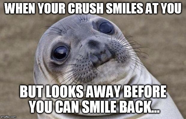 Awkward Moment Sealion Meme | WHEN YOUR CRUSH SMILES AT YOU BUT LOOKS AWAY BEFORE YOU CAN SMILE BACK... | image tagged in memes,awkward moment sealion | made w/ Imgflip meme maker