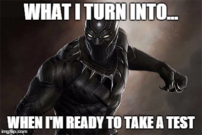 Black Panther | WHAT I TURN INTO... WHEN I'M READY TO TAKE A TEST | image tagged in black panther | made w/ Imgflip meme maker