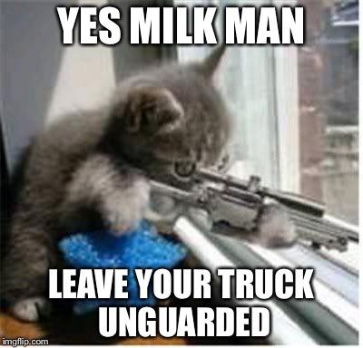 cats with guns | YES MILK MAN LEAVE YOUR TRUCK UNGUARDED | image tagged in cats with guns | made w/ Imgflip meme maker