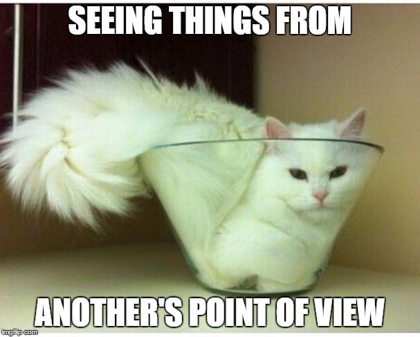 It's not always easy... | SEEING THINGS FROM ANOTHER'S POINT OF VIEW | image tagged in cat in bowl,memes,funny cat memes | made w/ Imgflip meme maker