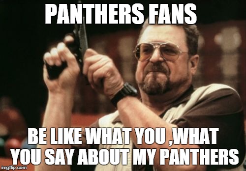 Am I The Only One Around Here Meme | PANTHERS FANS BE LIKE WHAT YOU ,WHAT YOU SAY ABOUT MY PANTHERS | image tagged in memes,am i the only one around here | made w/ Imgflip meme maker