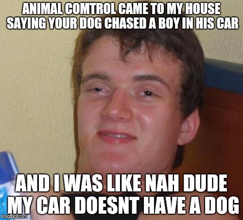 10 Guy Meme | ANIMAL COMTROL CAME TO MY HOUSE SAYING YOUR DOG CHASED A BOY IN HIS CAR AND I WAS LIKE NAH DUDE MY CAR DOESNT HAVE A DOG | image tagged in memes,10 guy | made w/ Imgflip meme maker