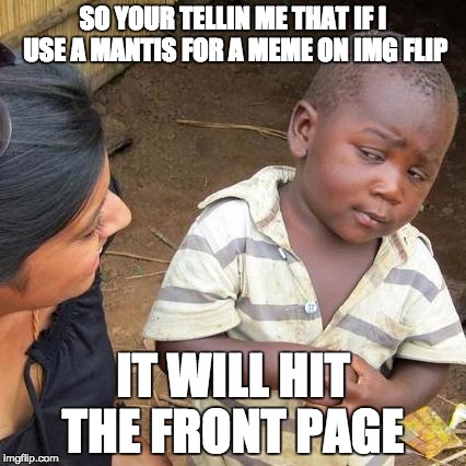 Third World Skeptical Kid | SO YOUR TELLIN ME THAT IF I USE A MANTIS FOR A MEME ON IMG FLIP IT WILL HIT THE FRONT PAGE | image tagged in memes,third world skeptical kid | made w/ Imgflip meme maker