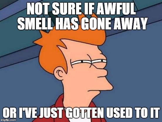 Futurama Fry | NOT SURE IF AWFUL SMELL HAS GONE AWAY OR I'VE JUST GOTTEN USED TO IT | image tagged in memes,futurama fry | made w/ Imgflip meme maker