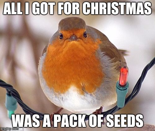 Bah Humbug | ALL I GOT FOR CHRISTMAS WAS A PACK OF SEEDS | image tagged in memes,bah humbug | made w/ Imgflip meme maker
