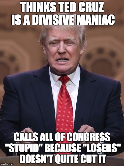 Pot, Kettle, Black | THINKS TED CRUZ IS A DIVISIVE MANIAC CALLS ALL OF CONGRESS "STUPID" BECAUSE "LOSERS" DOESN'T QUITE CUT IT | image tagged in trump,hypocrisy,cruz | made w/ Imgflip meme maker