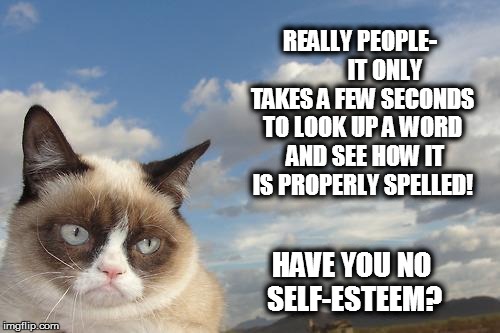 Grumpy Cat Sky Meme | REALLY PEOPLE-          IT ONLY TAKES A FEW SECONDS TO LOOK UP A WORD  AND SEE HOW IT IS PROPERLY SPELLED! HAVE YOU NO SELF-ESTEEM? | image tagged in memes,grumpy cat sky,grumpy cat | made w/ Imgflip meme maker