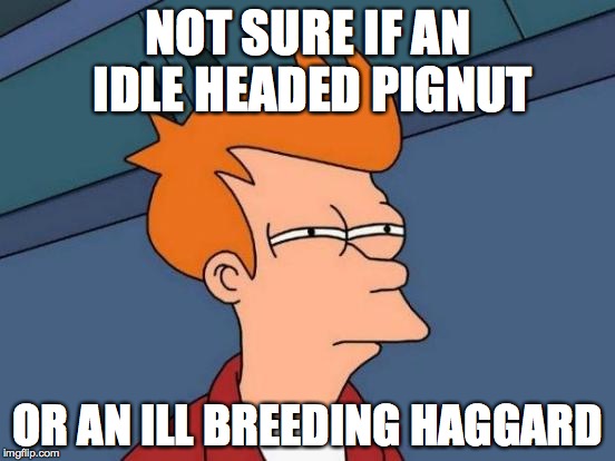 Futurama Fry | NOT SURE IF AN IDLE HEADED PIGNUT OR AN ILL BREEDING HAGGARD | image tagged in memes,futurama fry | made w/ Imgflip meme maker