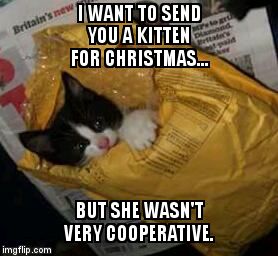 Christmas kitten | I WANT TO SEND YOU A KITTEN FOR CHRISTMAS... BUT SHE WASN'T VERY COOPERATIVE. | image tagged in christmas kitten | made w/ Imgflip meme maker