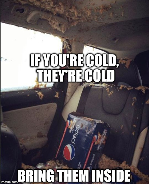 IF YOU'RE COLD, THEY'RE COLD BRING THEM INSIDE | image tagged in pepsi,bring them inside | made w/ Imgflip meme maker
