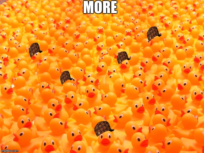 MORE | image tagged in duckies,scumbag | made w/ Imgflip meme maker