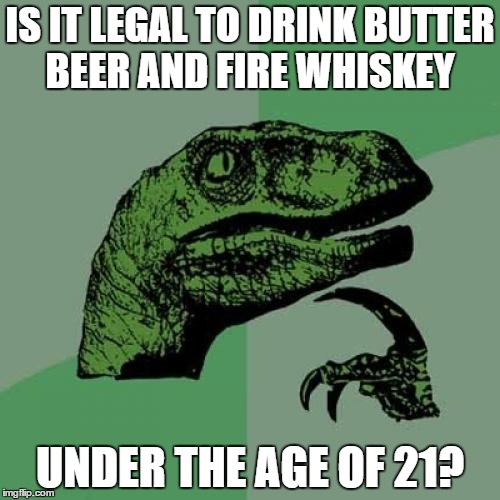 Philosoraptor Meme | IS IT LEGAL TO DRINK BUTTER BEER AND FIRE WHISKEY UNDER THE AGE OF 21? | image tagged in memes,philosoraptor | made w/ Imgflip meme maker