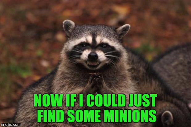 evil genius racoon | NOW IF I COULD JUST FIND SOME MINIONS | image tagged in evil genius racoon | made w/ Imgflip meme maker