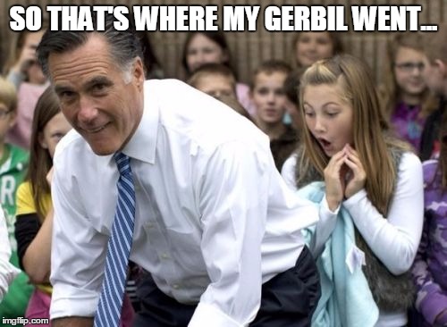 Romney | SO THAT'S WHERE MY GERBIL WENT... | image tagged in memes,romney | made w/ Imgflip meme maker