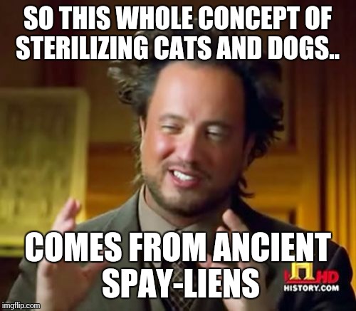 Ancient Aliens Meme | SO THIS WHOLE CONCEPT OF STERILIZING CATS AND DOGS.. COMES FROM ANCIENT SPAY-LIENS | image tagged in memes,ancient aliens | made w/ Imgflip meme maker