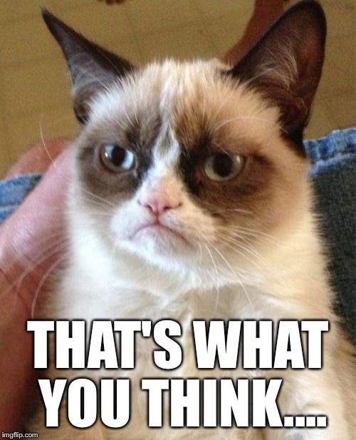 Grumpy Cat Meme | THAT'S WHAT YOU THINK.... | image tagged in memes,grumpy cat | made w/ Imgflip meme maker