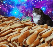 space cats and hot dogs Blank Meme Template