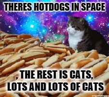 space cats and hot dogs | THERES HOTDOGS IN SPACE , THE REST IS CATS, LOTS AND LOTS OF CATS | image tagged in space cats and hot dogs | made w/ Imgflip meme maker