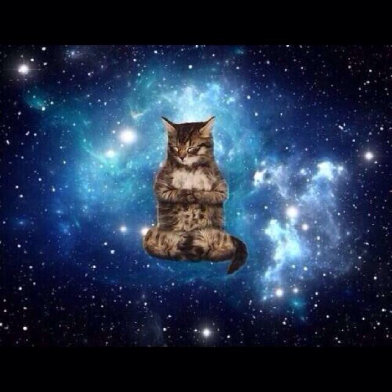 space cat Blank Meme Template