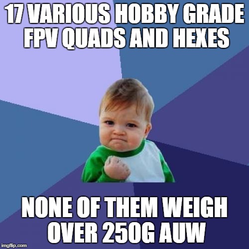 Success Kid Meme | 17 VARIOUS HOBBY GRADE FPV QUADS AND HEXES NONE OF THEM WEIGH OVER 250G AUW | image tagged in memes,success kid | made w/ Imgflip meme maker