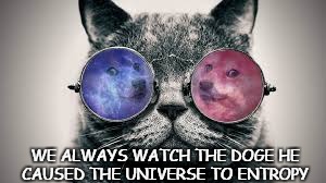 WE ALWAYS WATCH THE DOGE HE CAUSED THE UNIVERSE TO ENTROPY | image tagged in space cat   | made w/ Imgflip meme maker