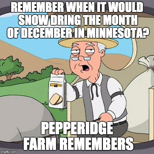 Pepperidge Farm Remembers | REMEMBER WHEN IT WOULD SNOW DRING THE MONTH OF DECEMBER IN MINNESOTA? PEPPERIDGE FARM REMEMBERS | image tagged in memes,pepperidge farm remembers | made w/ Imgflip meme maker