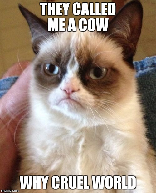 Grumpy Cat | THEY CALLED ME A COW WHY CRUEL WORLD | image tagged in memes,grumpy cat | made w/ Imgflip meme maker
