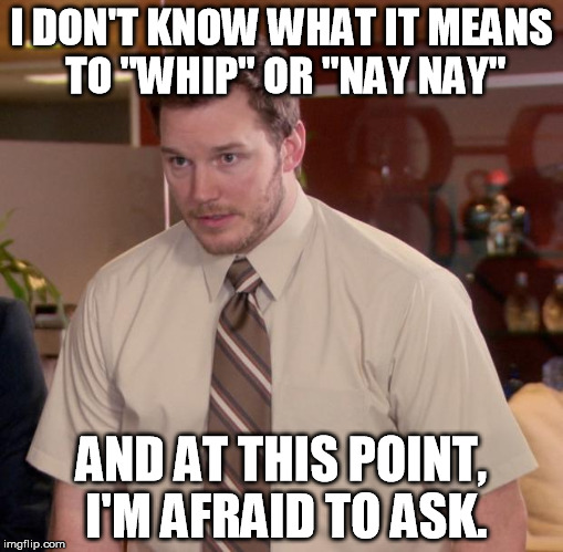 Afraid To Ask Andy Meme | I DON'T KNOW WHAT IT MEANS TO "WHIP" OR "NAY NAY" AND AT THIS POINT, I'M AFRAID TO ASK. | image tagged in memes,afraid to ask andy | made w/ Imgflip meme maker