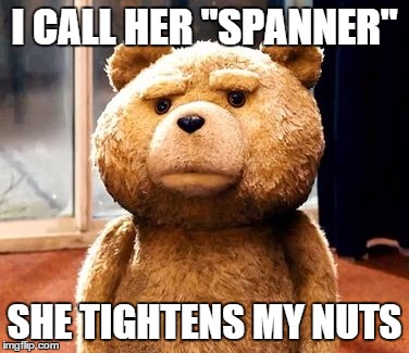 misbehaviour laid bear | I CALL HER "SPANNER" SHE TIGHTENS MY NUTS | image tagged in memes,ted | made w/ Imgflip meme maker