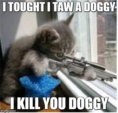cats with guns | I TOUGHT I TAW A DOGGY I KILL YOU DOGGY | image tagged in cats with guns,scumbag | made w/ Imgflip meme maker