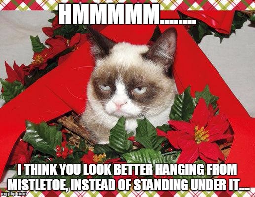 Grumpy Cat Mistletoe Meme | HMMMMM........ I THINK YOU LOOK BETTER HANGING FROM MISTLETOE, INSTEAD OF STANDING UNDER IT.... | image tagged in memes,grumpy cat mistletoe,grumpy cat | made w/ Imgflip meme maker