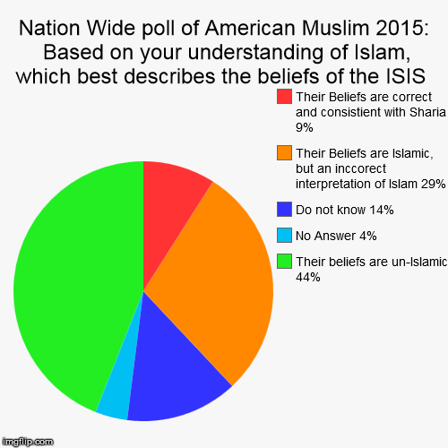 Nation Wide Poll of American Muslims in 2015 | image tagged in funny,pie charts,islam,isis,sharia law | made w/ Imgflip chart maker