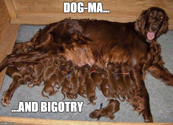 Puppies | DOG-MA... ...AND BIGOTRY | image tagged in puppies | made w/ Imgflip meme maker