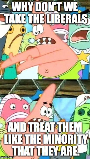 Put It Somewhere Else Patrick Meme | WHY DON'T WE TAKE THE LIBERALS AND TREAT THEM LIKE THE MINORITY THAT THEY ARE. | image tagged in memes,put it somewhere else patrick | made w/ Imgflip meme maker