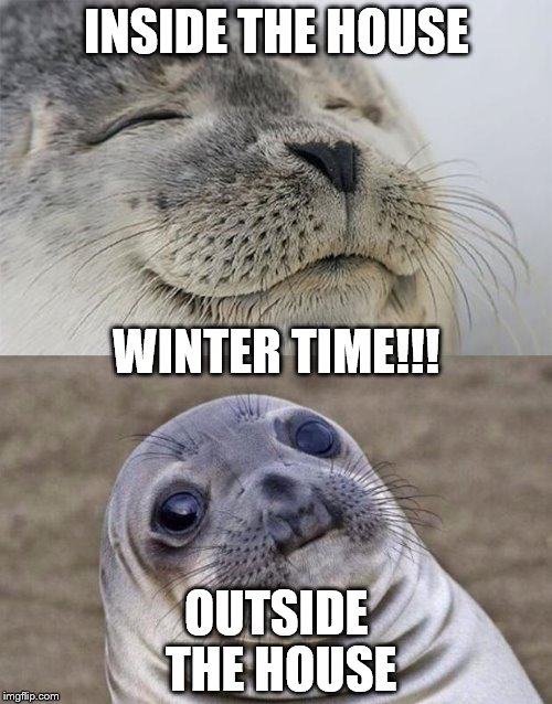 Short Satisfaction VS Truth | INSIDE THE HOUSE OUTSIDE THE HOUSE WINTER TIME!!! | image tagged in memes,short satisfaction vs truth | made w/ Imgflip meme maker