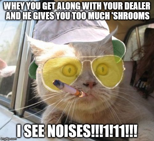 Fear And Loathing Cat | WHEY YOU GET ALONG WITH YOUR DEALER AND HE GIVES YOU TOO MUCH 'SHROOMS I SEE NOISES!!!1!11!!! | image tagged in memes,fear and loathing cat | made w/ Imgflip meme maker