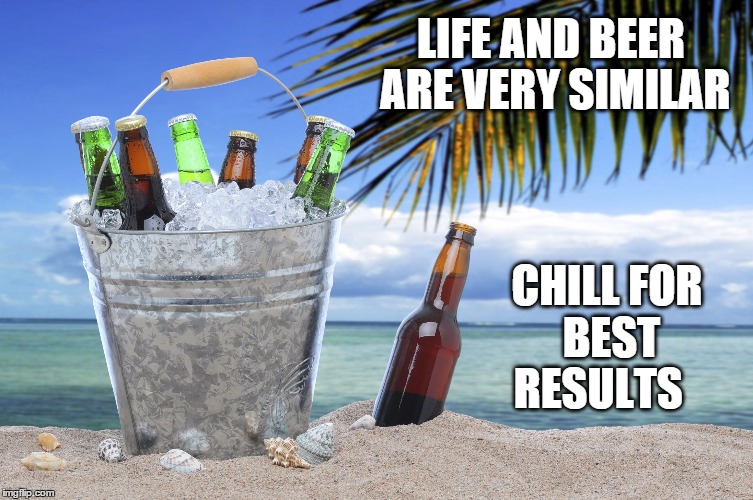 beer | LIFE AND BEER ARE VERY SIMILAR CHILL FOR BEST RESULTS | image tagged in beer | made w/ Imgflip meme maker