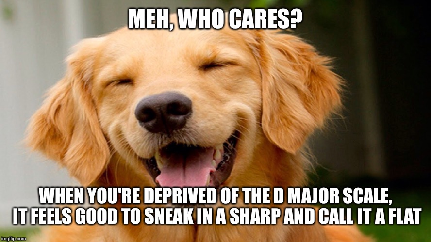 Laughing Dog | MEH, WHO CARES? WHEN YOU'RE DEPRIVED OF THE D MAJOR SCALE, IT FEELS GOOD TO SNEAK IN A SHARP AND CALL IT A FLAT | image tagged in laughing dog | made w/ Imgflip meme maker