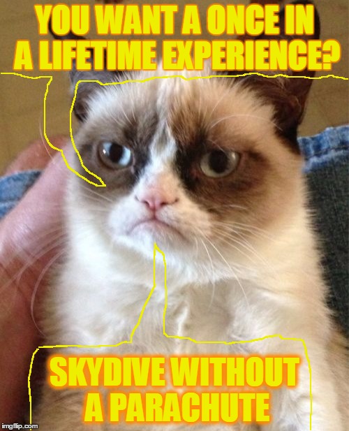 Grumpy Cat | YOU WANT A ONCE IN A LIFETIME EXPERIENCE? SKYDIVE WITHOUT A PARACHUTE | image tagged in memes,grumpy cat | made w/ Imgflip meme maker