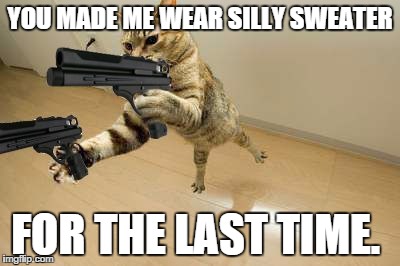 no more sweaters | YOU MADE ME WEAR SILLY SWEATER FOR THE LAST TIME. | image tagged in angry cat,gun cat | made w/ Imgflip meme maker