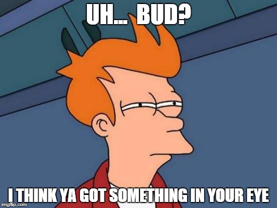 Futurama Fry | UH...  BUD? I THINK YA GOT SOMETHING IN YOUR EYE | image tagged in memes,futurama fry | made w/ Imgflip meme maker