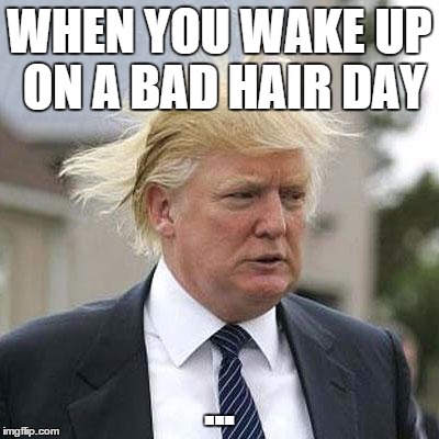 Donald Trump | WHEN YOU WAKE UP ON A BAD HAIR DAY ... | image tagged in donald trump | made w/ Imgflip meme maker