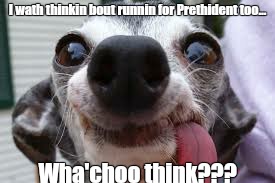 thilly puppy | I wath thinkin bout runnin for Prethident too... Wha'choo think??? | image tagged in thilly puppy | made w/ Imgflip meme maker