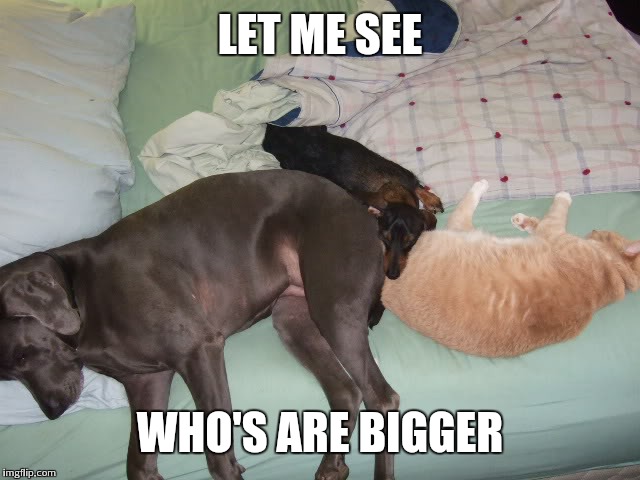 LET ME SEE WHO'S ARE BIGGER | made w/ Imgflip meme maker