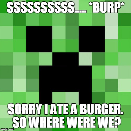 Scumbag Minecraft | SSSSSSSSSS..... *BURP* SORRY I ATE A BURGER. SO WHERE WERE WE? | image tagged in memes,scumbag minecraft | made w/ Imgflip meme maker