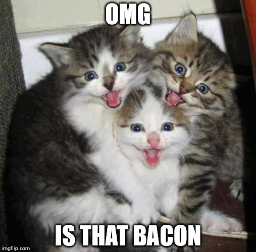 Happy kittens  | OMG IS THAT BACON | image tagged in happy kittens  | made w/ Imgflip meme maker