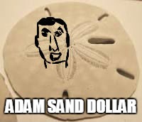Adam Sand Dollar | ADAM SAND DOLLAR | image tagged in adam sandler,ocean | made w/ Imgflip meme maker