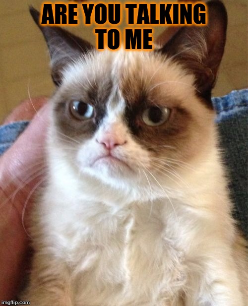 Grumpy Cat Meme | ARE YOU TALKING TO ME | image tagged in memes,grumpy cat | made w/ Imgflip meme maker