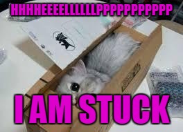 Cute Kittens | HHHHEEEELLLLLLPPPPPPPPPPP I AM STUCK | image tagged in cute kittens | made w/ Imgflip meme maker
